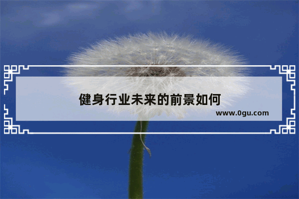 健身行业未来的前景如何