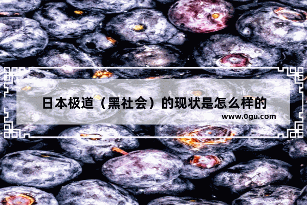 日本极道（黑社会）的现状是怎么样的