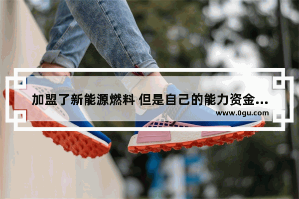 加盟了新能源燃料 但是自己的能力资金有限无法做起来 出售配方怎么样