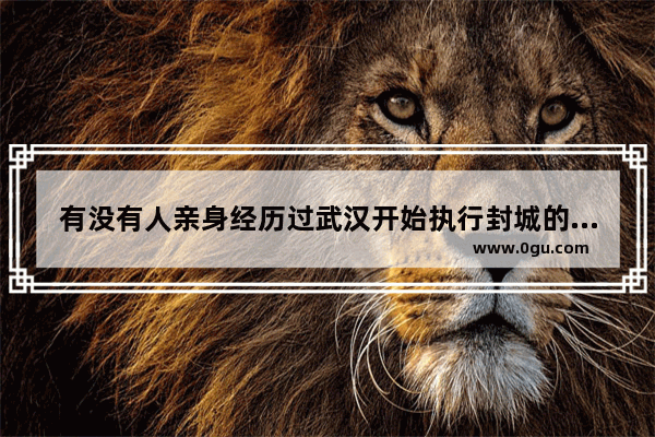 有没有人亲身经历过武汉开始执行封城的场面 是不是有些惊心动魄