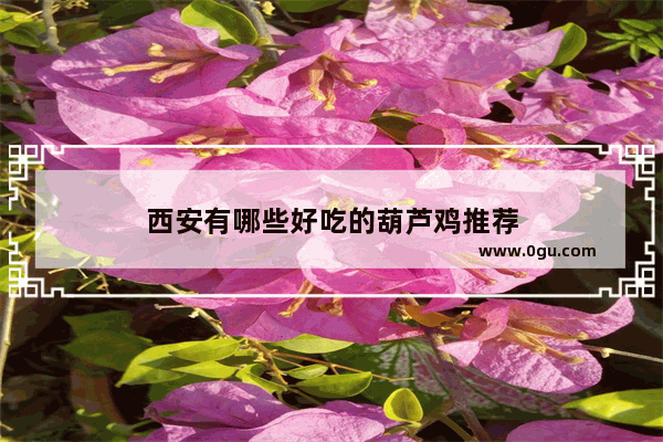 西安有哪些好吃的葫芦鸡推荐