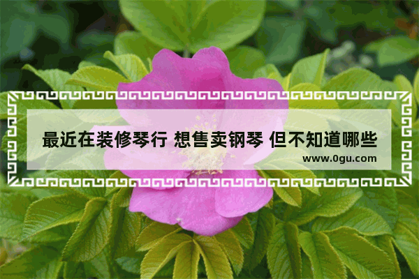 最近在装修琴行 想售卖钢琴 但不知道哪些品牌好 怎么加盟 需要什么资质