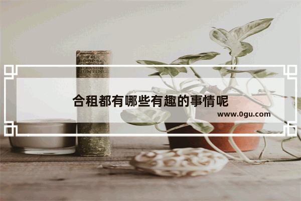 合租都有哪些有趣的事情呢