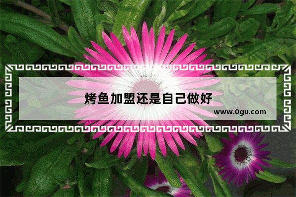 烤鱼加盟还是自己做好