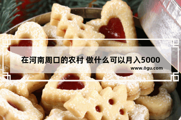 在河南周口的农村 做什么可以月入5000啊