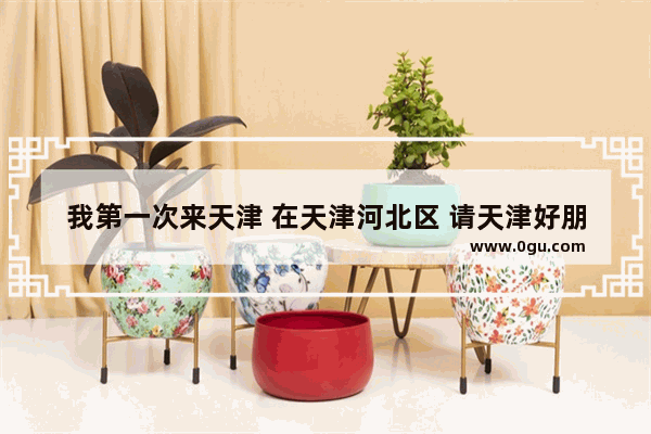 我第一次来天津 在天津河北区 请天津好朋友帮忙推荐哪里的早点便宜又有特色的