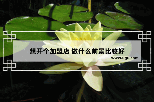 想开个加盟店 做什么前景比较好