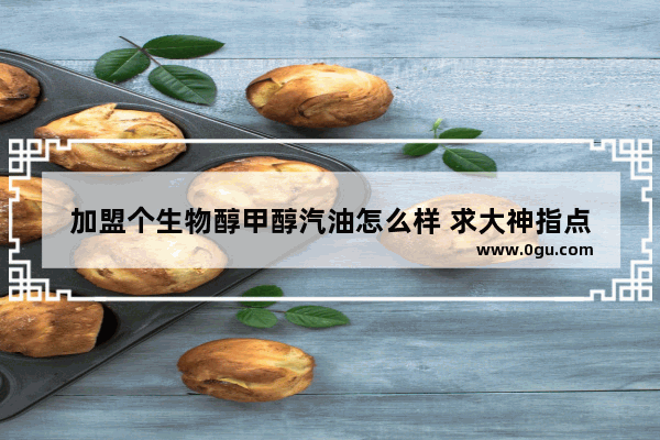 加盟个生物醇甲醇汽油怎么样 求大神指点