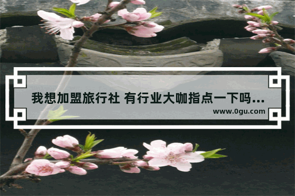 我想加盟旅行社 有行业大咖指点一下吗？能赚钱吗？有什么需要注意的