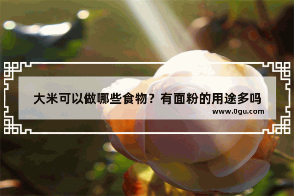 大米可以做哪些食物？有面粉的用途多吗