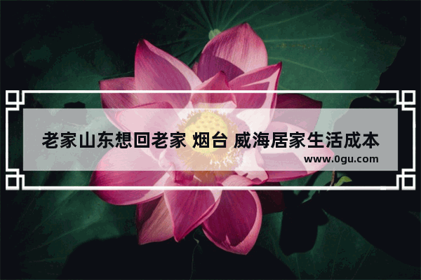 老家山东想回老家 烟台 威海居家生活成本如何 山东哪里最宜居