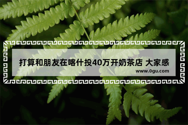 打算和朋友在喀什投40万开奶茶店 大家感觉前景怎么样