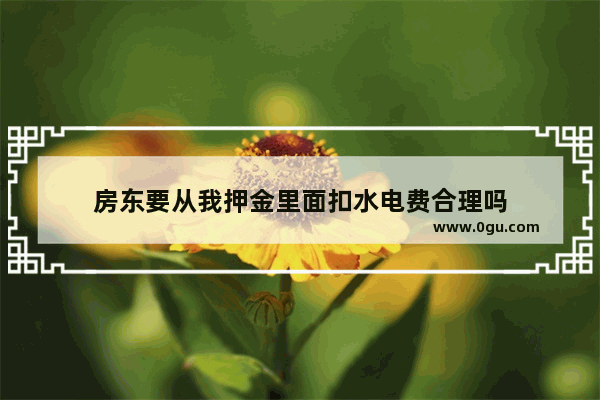 房东要从我押金里面扣水电费合理吗