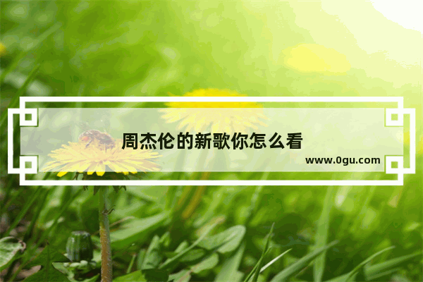 周杰伦的新歌你怎么看