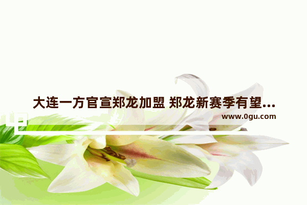 大连一方官宣郑龙加盟 郑龙新赛季有望迎来第二春吗