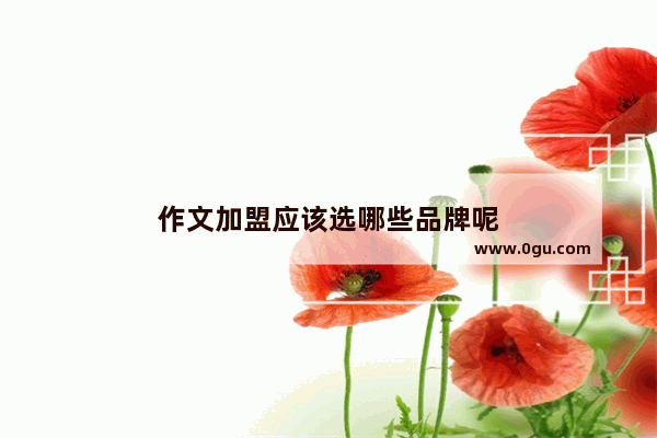 作文加盟应该选哪些品牌呢