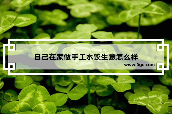 自己在家做手工水饺生意怎么样