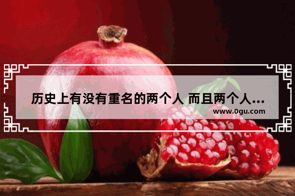 历史上有没有重名的两个人 而且两个人还很厉害的
