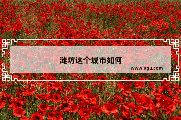 潍坊这个城市如何