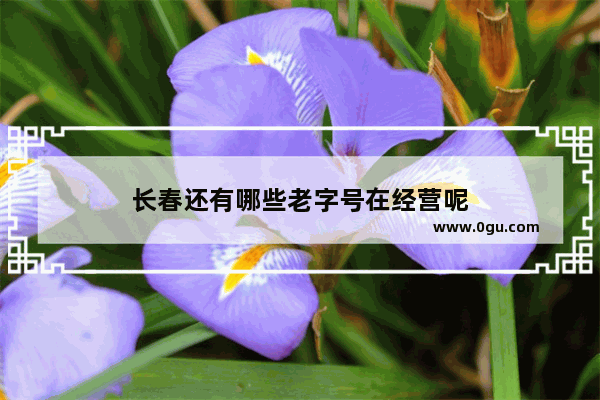 长春还有哪些老字号在经营呢