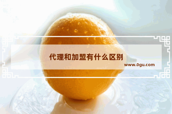 代理和加盟有什么区别