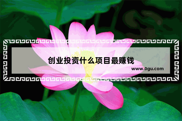 创业投资什么项目最赚钱