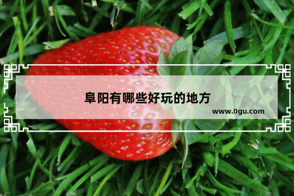 阜阳有哪些好玩的地方