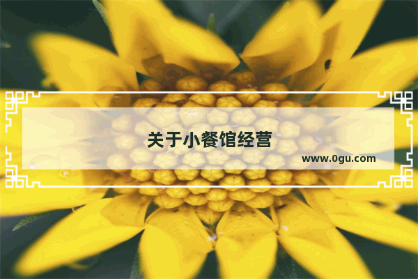 关于小餐馆经营
