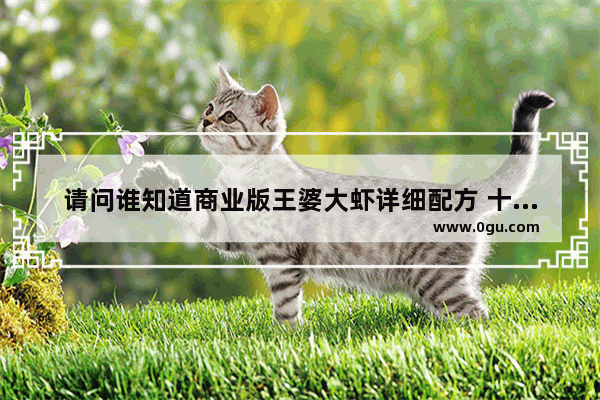 请问谁知道商业版王婆大虾详细配方 十分感谢