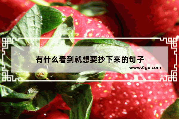 有什么看到就想要抄下来的句子