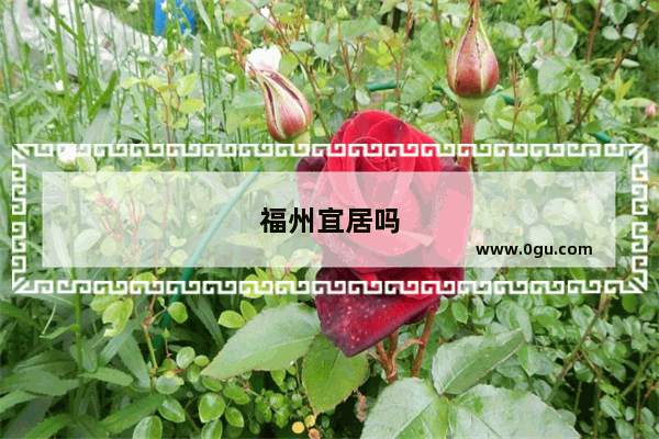 福州宜居吗