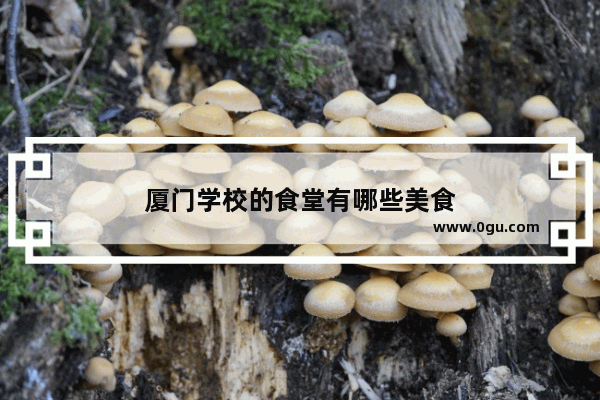 厦门学校的食堂有哪些美食