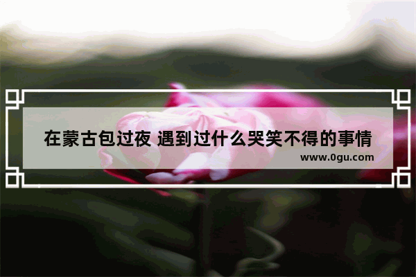 在蒙古包过夜 遇到过什么哭笑不得的事情