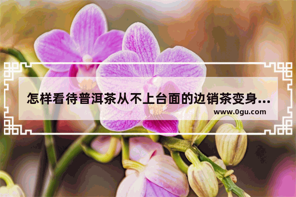 怎样看待普洱茶从不上台面的边销茶变身广受大家欢迎的好茶