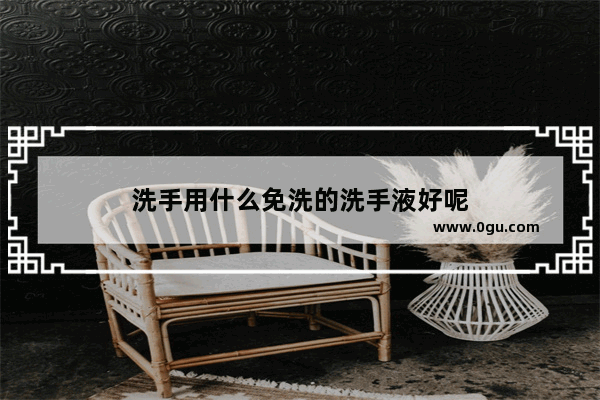 洗手用什么免洗的洗手液好呢