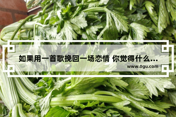 如果用一首歌挽回一场恋情 你觉得什么歌最合适