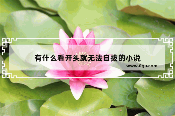 有什么看开头就无法自拔的小说