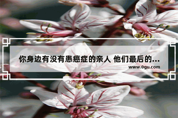 你身边有没有患癌症的亲人 他们最后的日子是怎么度过的