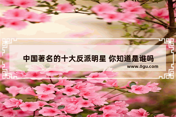 中国著名的十大反派明星 你知道是谁吗