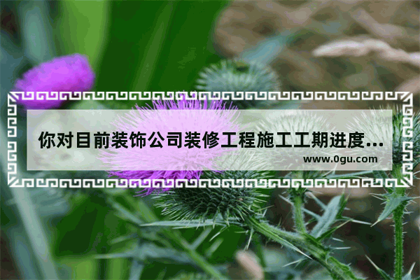 你对目前装饰公司装修工程施工工期进度的评价如何