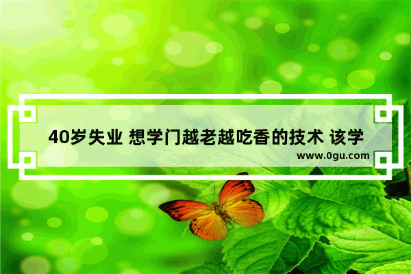 40岁失业 想学门越老越吃香的技术 该学啥
