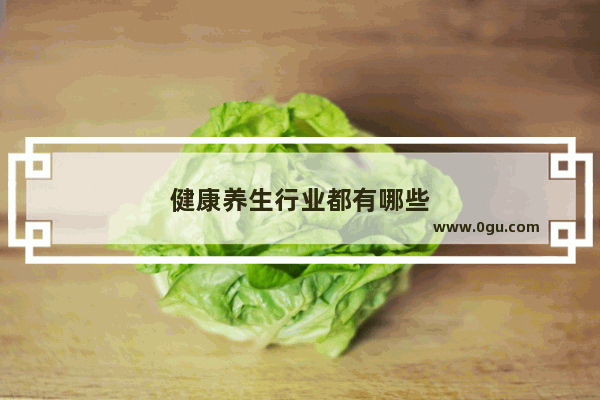 健康养生行业都有哪些