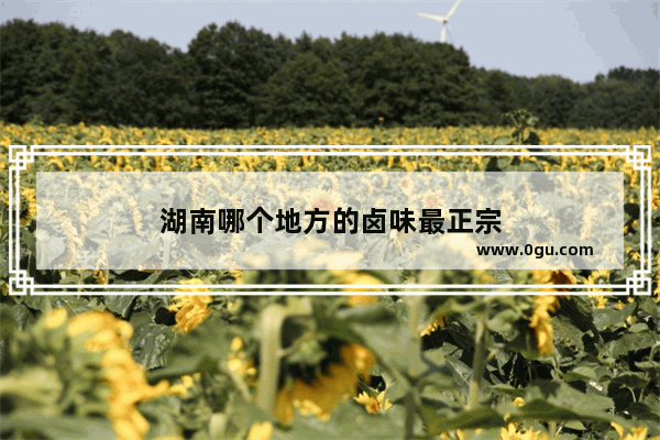 湖南哪个地方的卤味最正宗