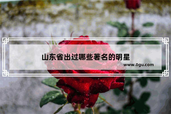 山东省出过哪些著名的明星