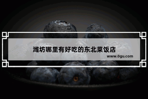 潍坊哪里有好吃的东北菜饭店