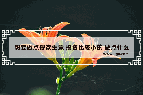 想要做点餐饮生意 投资比较小的 做点什么比较好呢