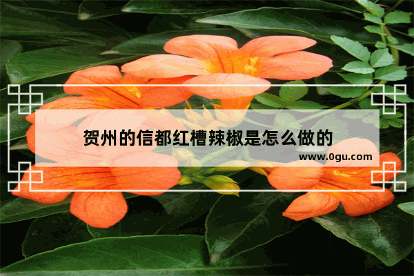 贺州的信都红槽辣椒是怎么做的