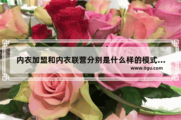 内衣加盟和内衣联营分别是什么样的模式？怎么样