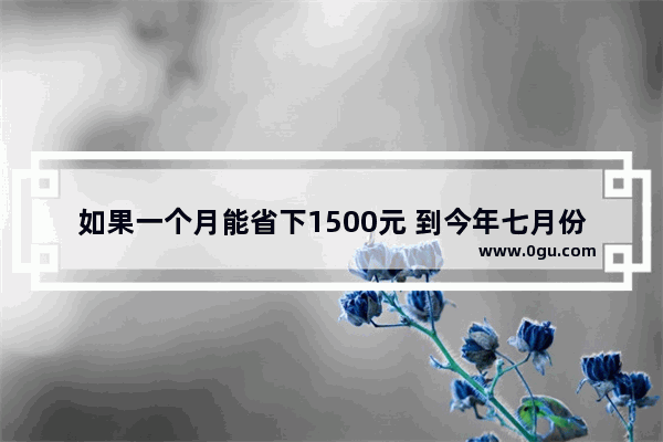 如果一个月能省下1500元 到今年七月份能两个人去新加坡吗