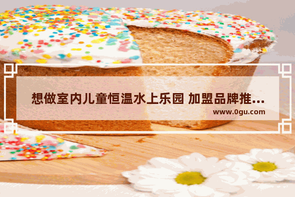 想做室内儿童恒温水上乐园 加盟品牌推荐下